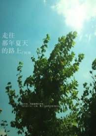 走过夏天歌曲